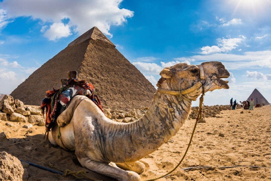 PÃ³Å‚dniowa wycieczka do piramid w Gizie i Sfinksa